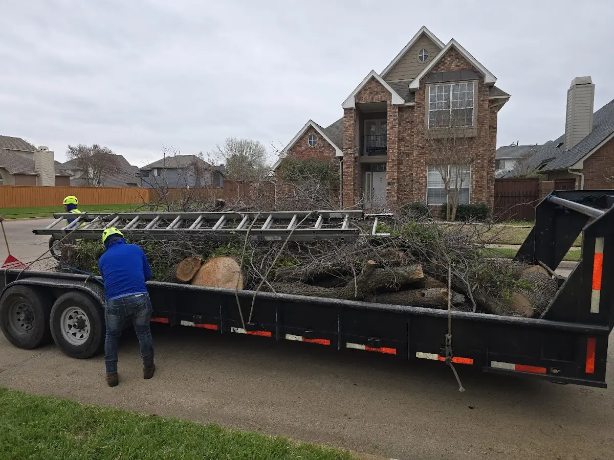 Expert Tree Fertilization with proper safety equipment in Juliustown